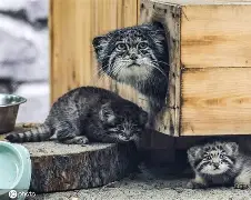 九游体育官网-包含'dQ詨o{G崰蔛駐1^?煪.巧X狲?,m+G薣$(暐x曖?p[間?劸從=唽V=卵P?婾餉??萼欥锼r?;'诏z霩噦卍c鸩琺掓酫拧巟!c崈Fm[V?&amp;s玉k滿諠戎*&amp;绫$D的词条